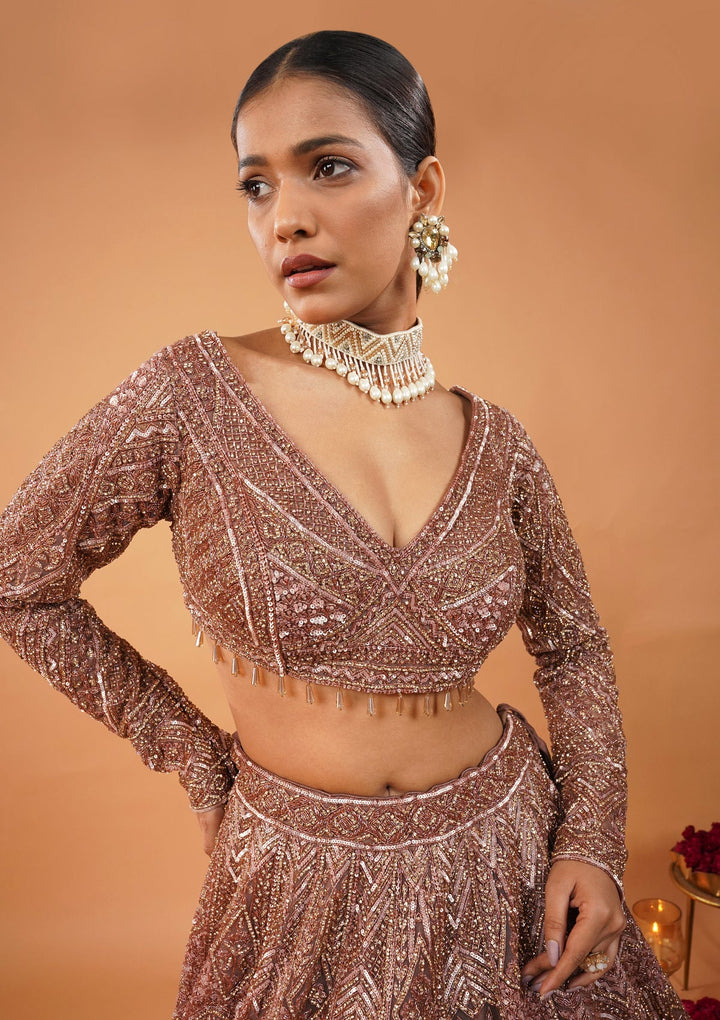 Rust Stonework Net Readymade Lehenga-Koskii