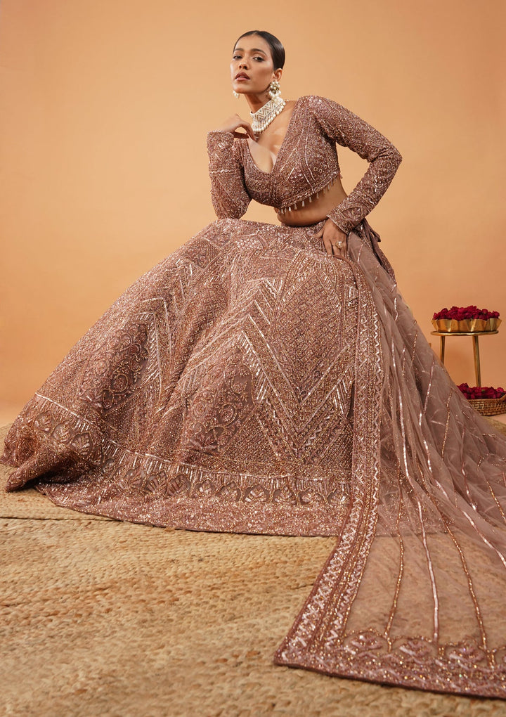 Rust Stonework Net Readymade Lehenga-Koskii