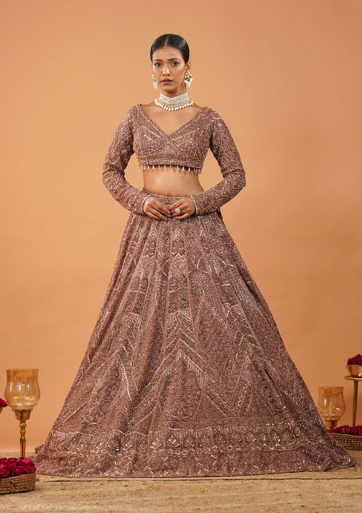 Rust Stonework Net Readymade Lehenga-Koskii