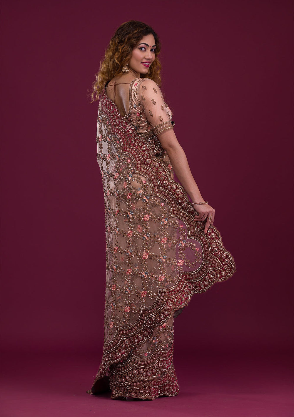 Light Brown Stonework Net Saree-Koskii