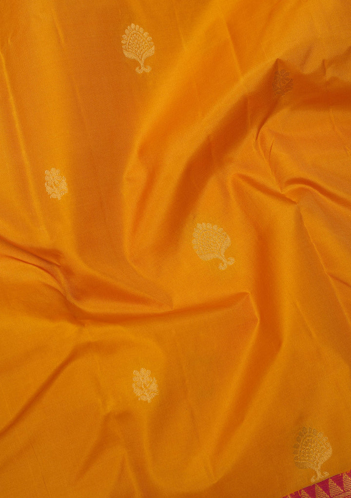 Mustard Zariwork Pure Silk Saree