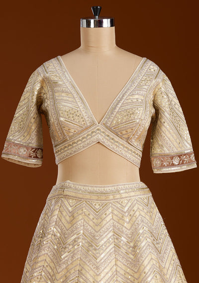 Beige Zariwork Net Readymade Lehenga-koskii