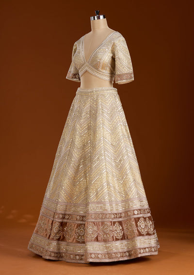Beige Zariwork Net Readymade Lehenga-koskii