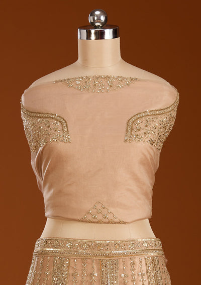 Beige Zariwork Net Semi-Stitched Lehenga-koskii