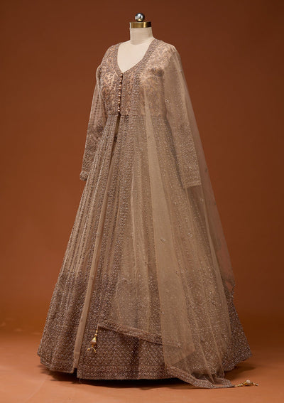 Beige Stonework Net Readymade Lehenga_Koskii