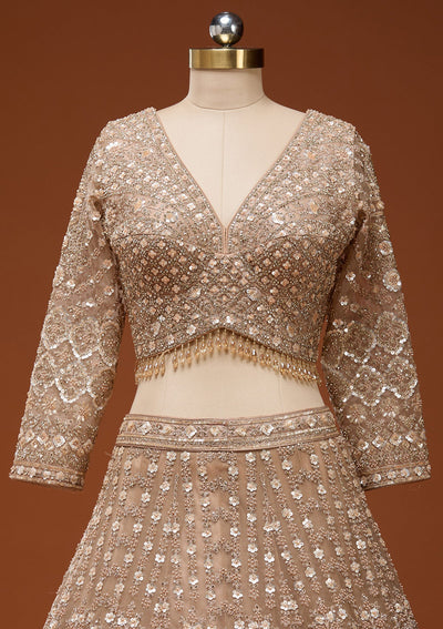 Beige Zariwork (Gold) Net Readymade Lehenga_Koskii