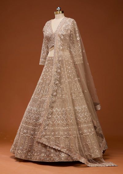 Beige Zariwork (Gold) Net Readymade Lehenga_Koskii