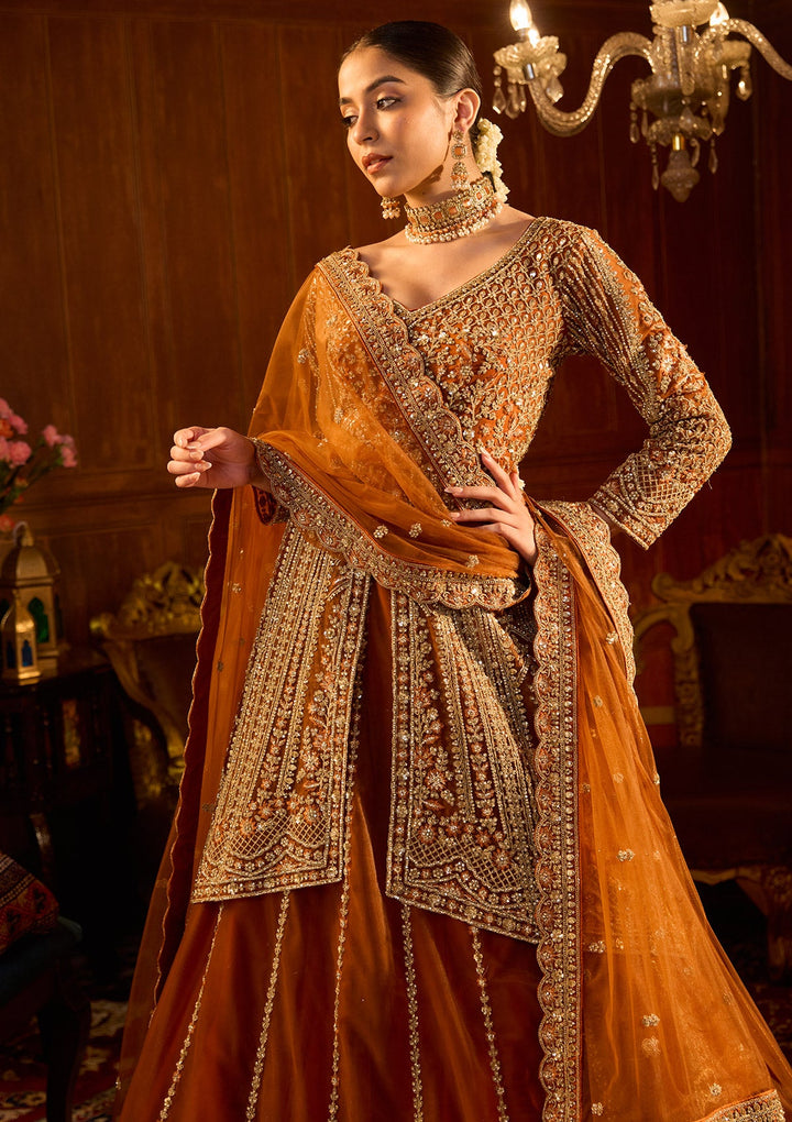 Rust Cording Net Readymade Lehenga-Koskii