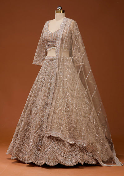 Beige Zariwork (Silver) Net Readymade Lehenga_Koskii