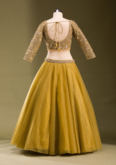 Mehendi Sequins Net Readymade Lehenga-koskii