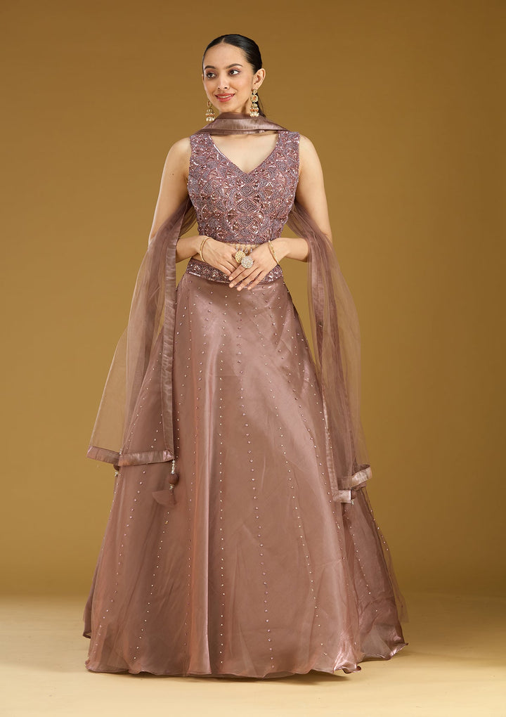 Light Brown Sequins Net Readymade Lehenga