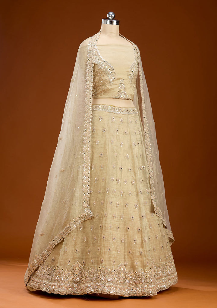 Beige Stonework (Gold) Tissue Readymade Lehenga