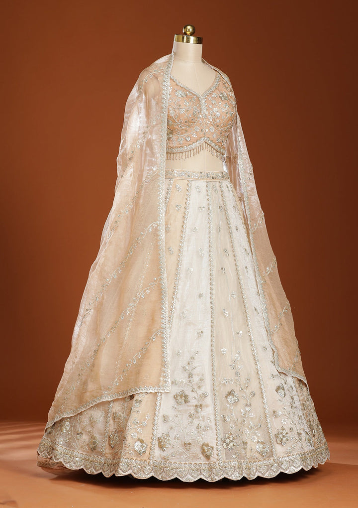 Off White Zariwork Organza Readymade Lehenga-koskii