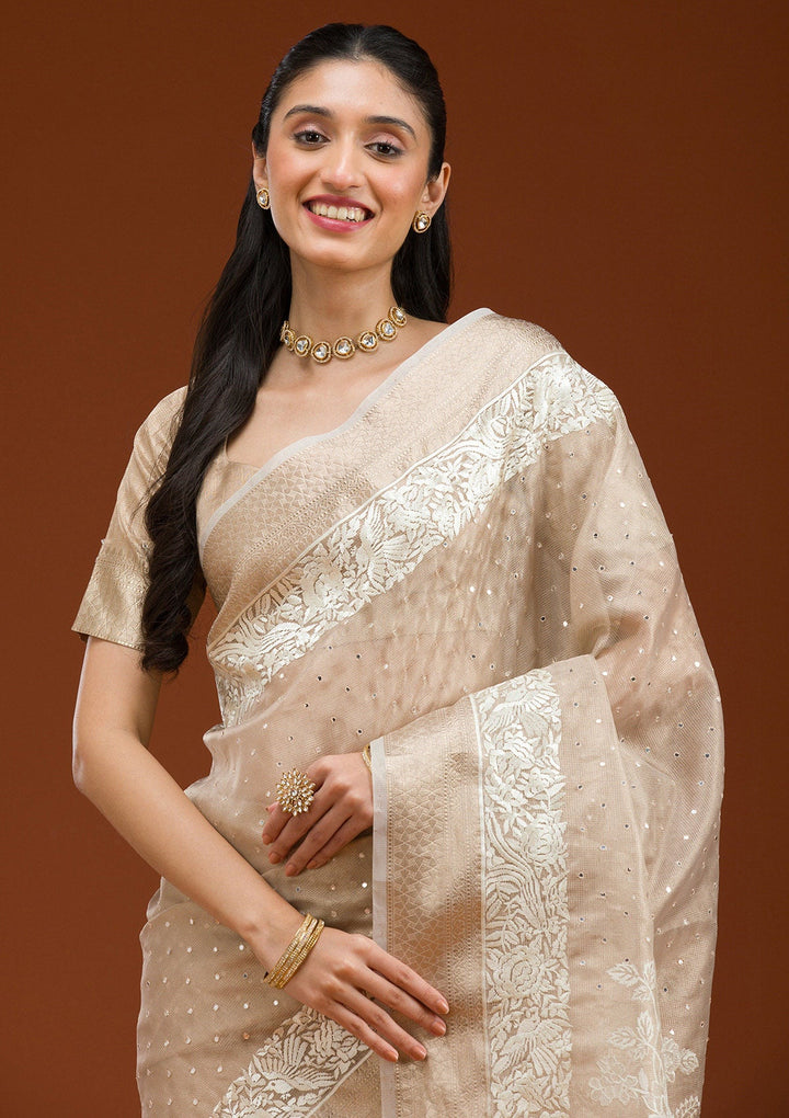 Gold Silver Zariwork Tissue Saree-Koskii