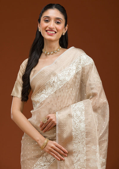 Gold Silver Zariwork Tissue Saree-Koskii