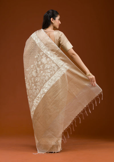 Gold Silver Zariwork Tissue Saree-Koskii