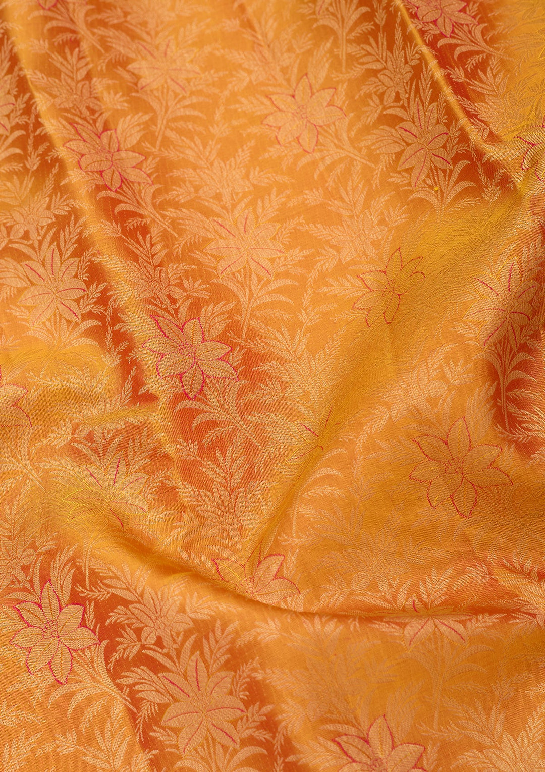 Mustard Zariwork (Gold) Pure Silk Saree