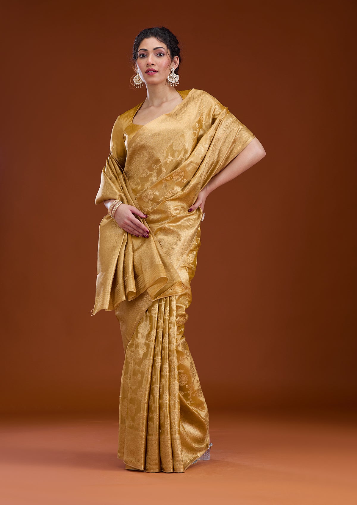 Gold Zariwork Tissue Saree