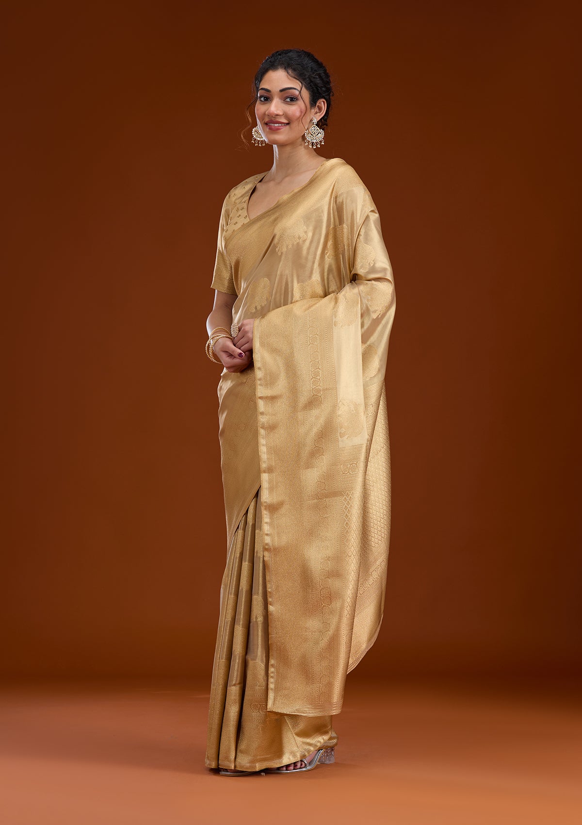 Beige Zariwork Tissue Saree