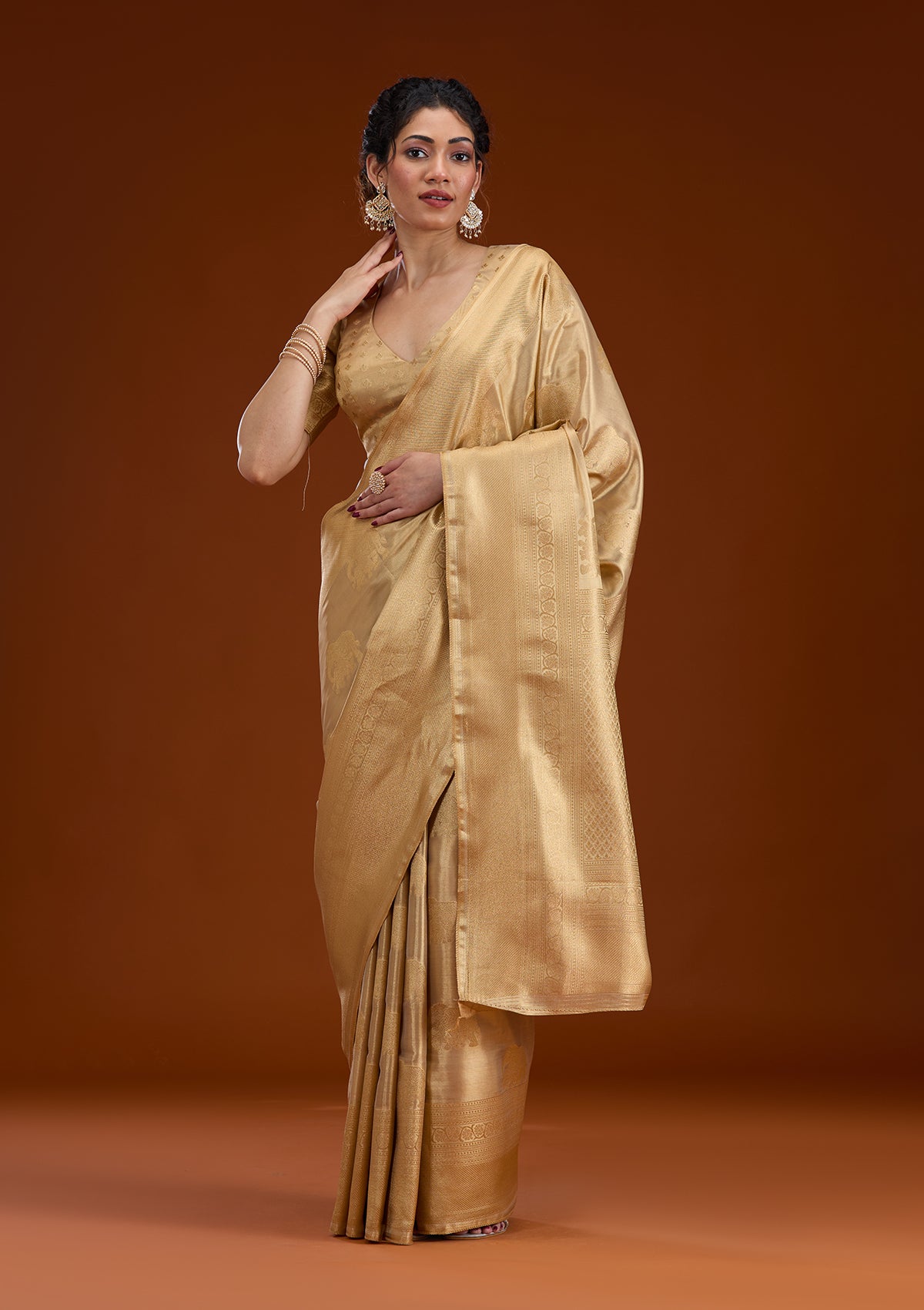 Beige Zariwork Tissue Saree