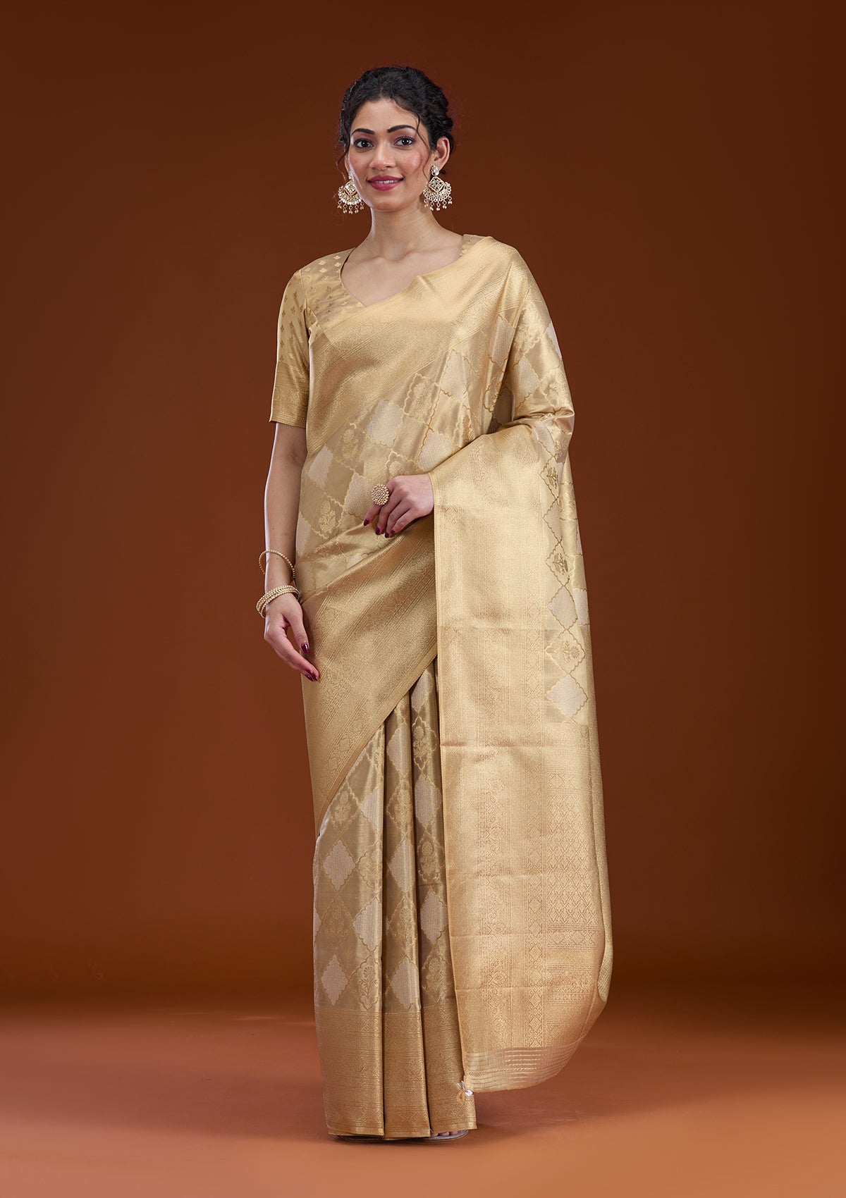 Beige Zariwork Tissue Saree