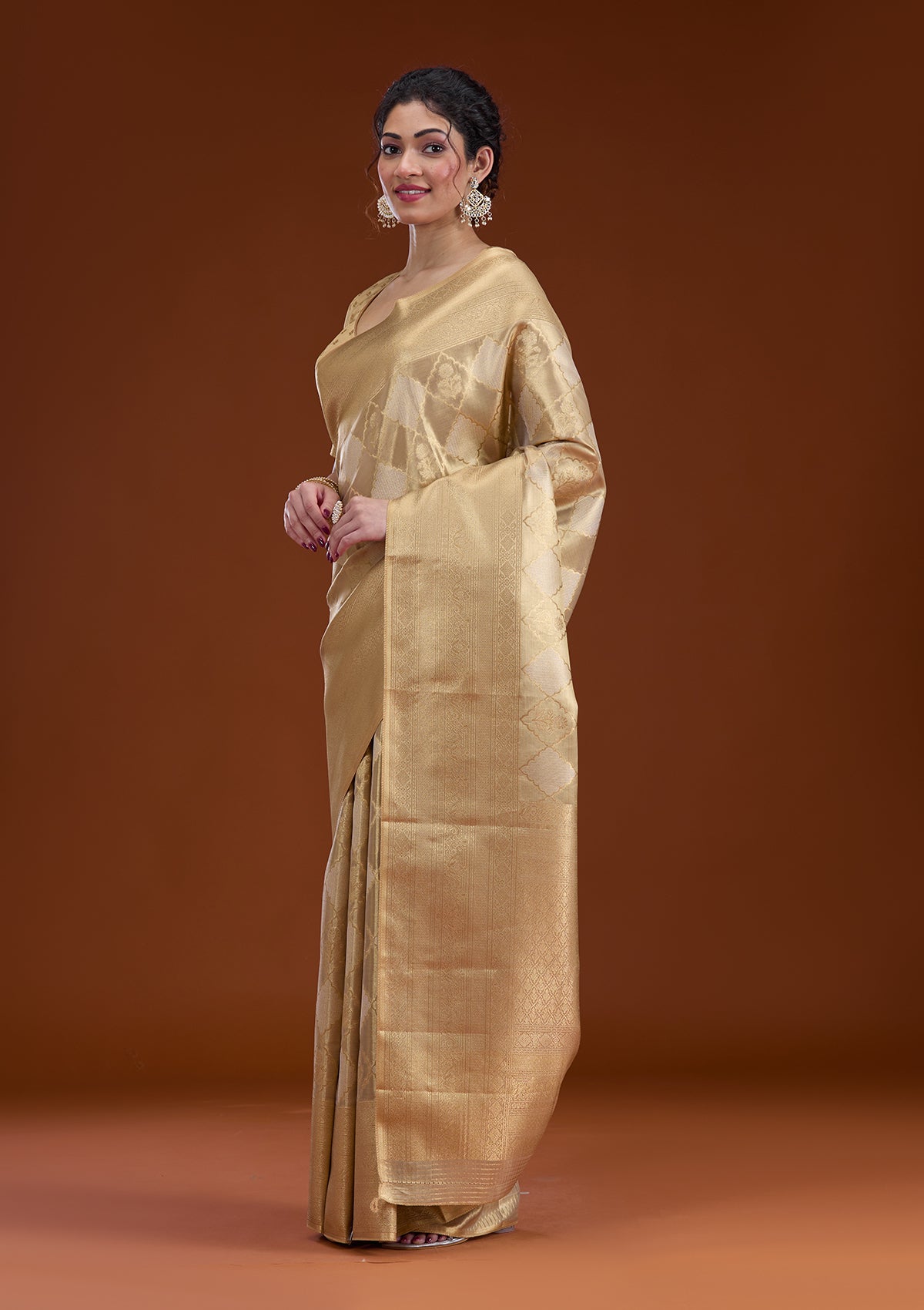 Beige Zariwork Tissue Saree