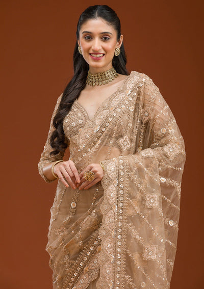 Beige Stonework Net Saree-Koskii