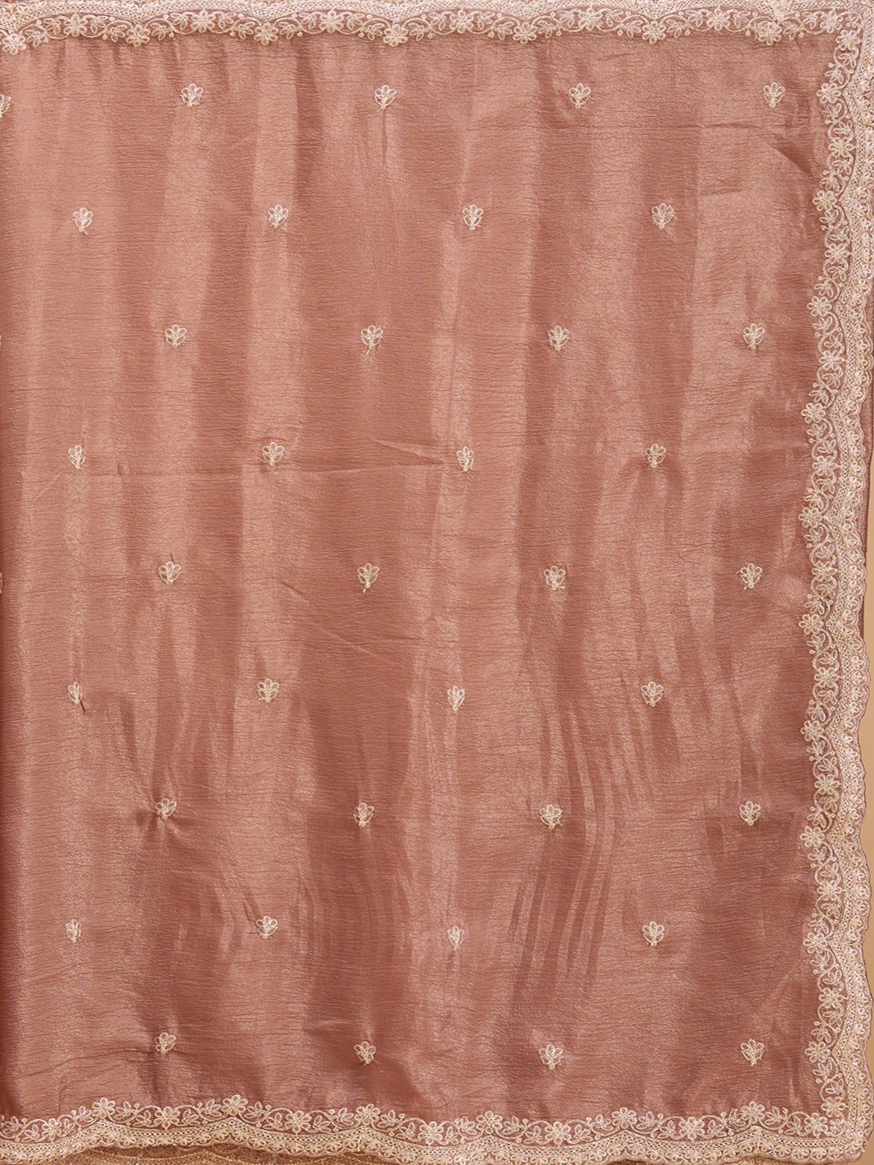 Brown Zariwork (Gold) Tissue Saree-Koskii