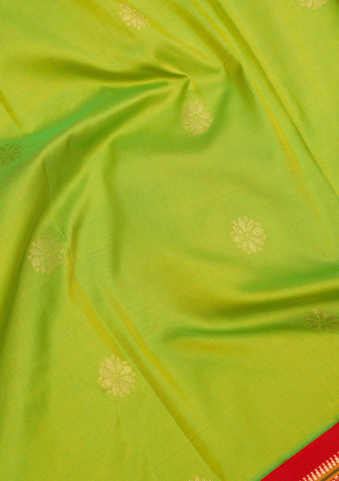 Parrot Green Zariwork Pure Silk Saree-Koskii