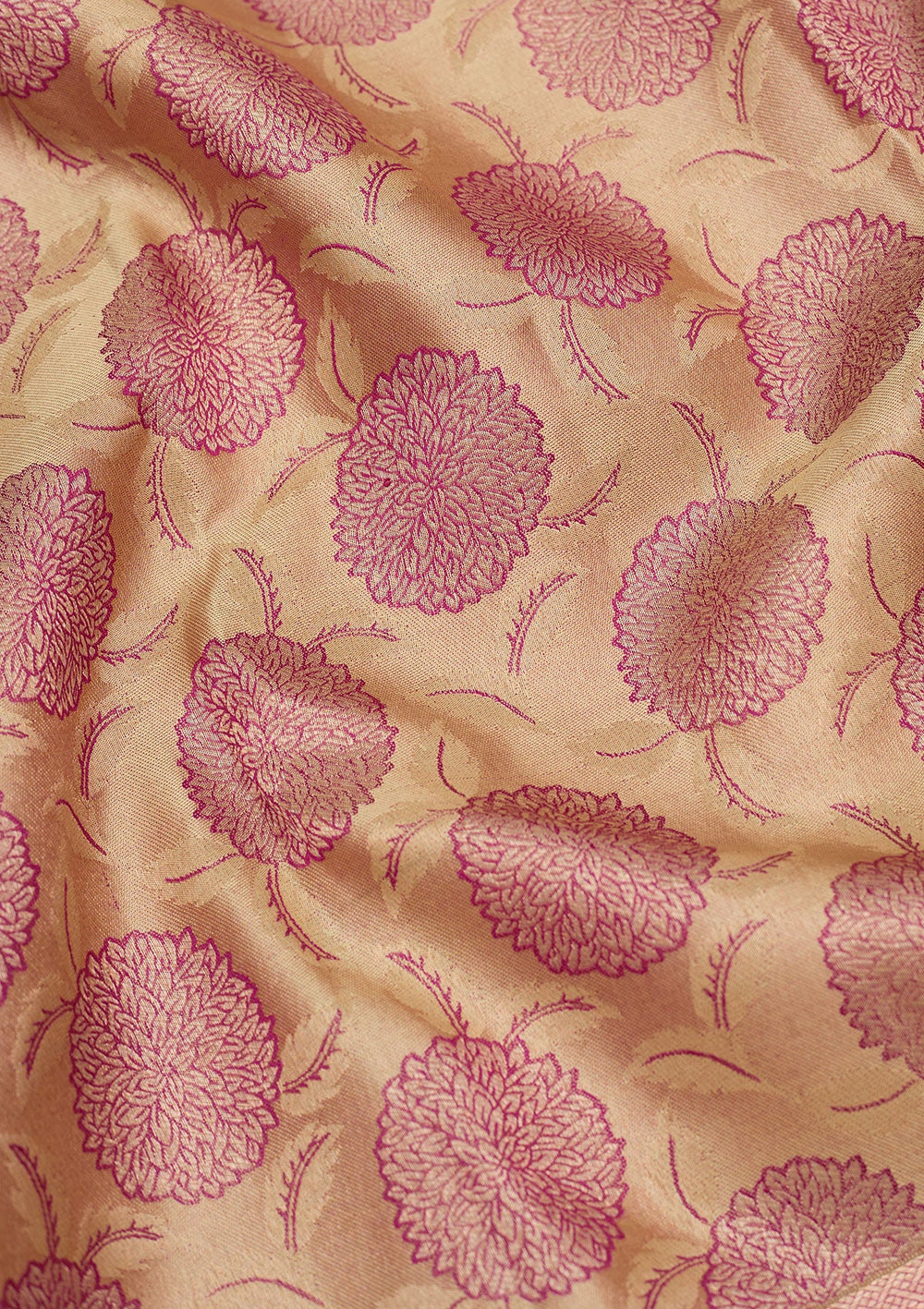 Beige Zariwork Pure Silk Saree-Koskii