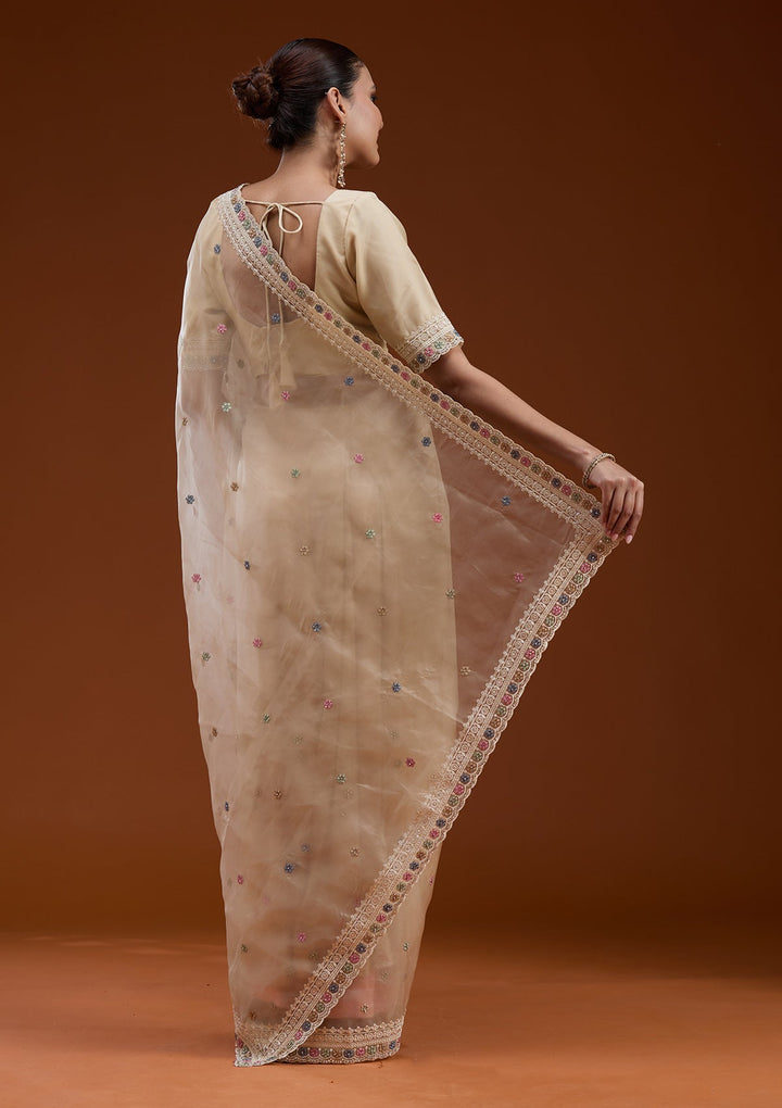 Beige Threadwork Tissue Saree-koskii
