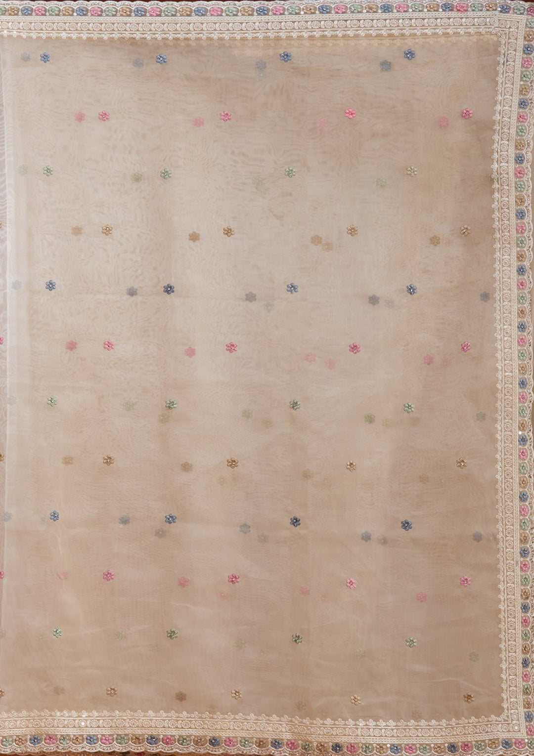 Beige Threadwork Tissue Saree-koskii