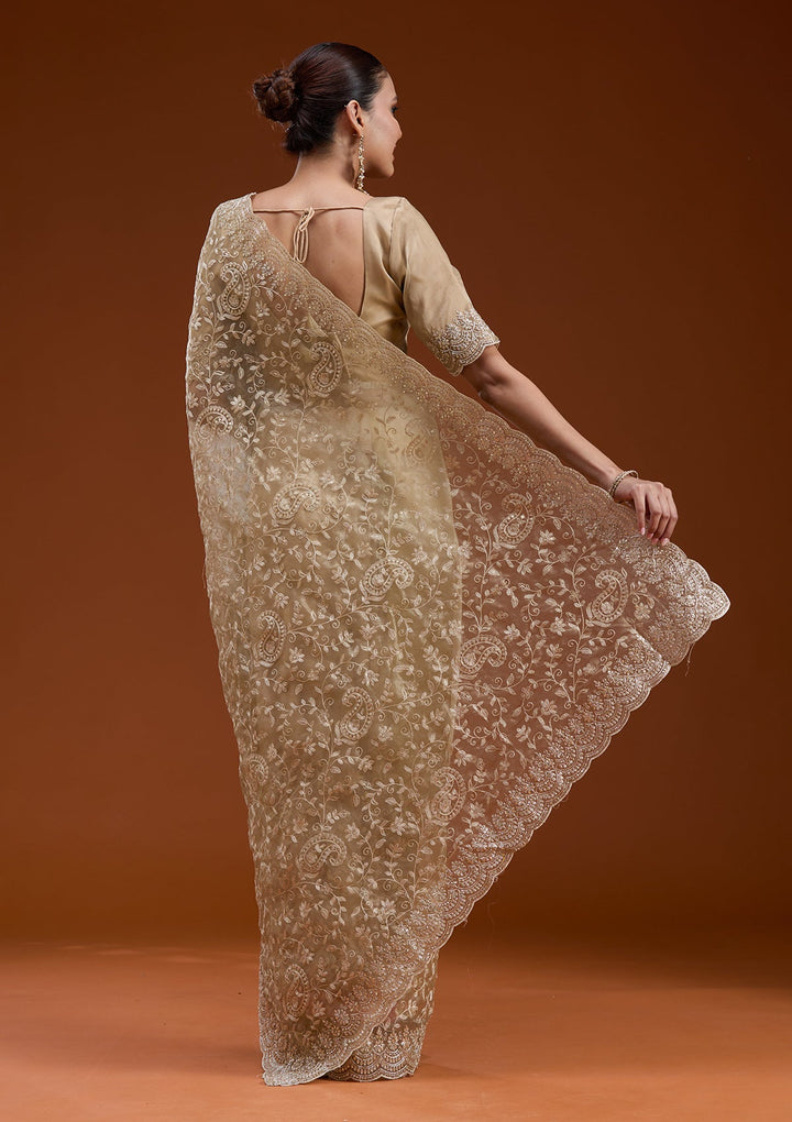Gold Cording Tissue Saree-koskii