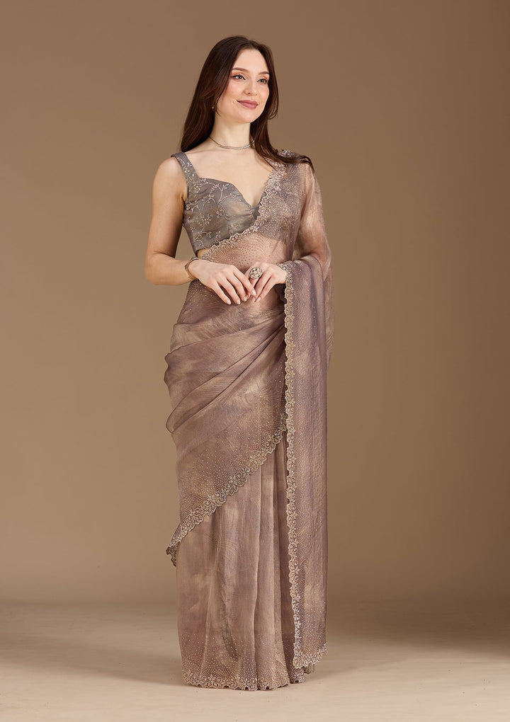 Brown Stonework (Gold) Tissue Saree