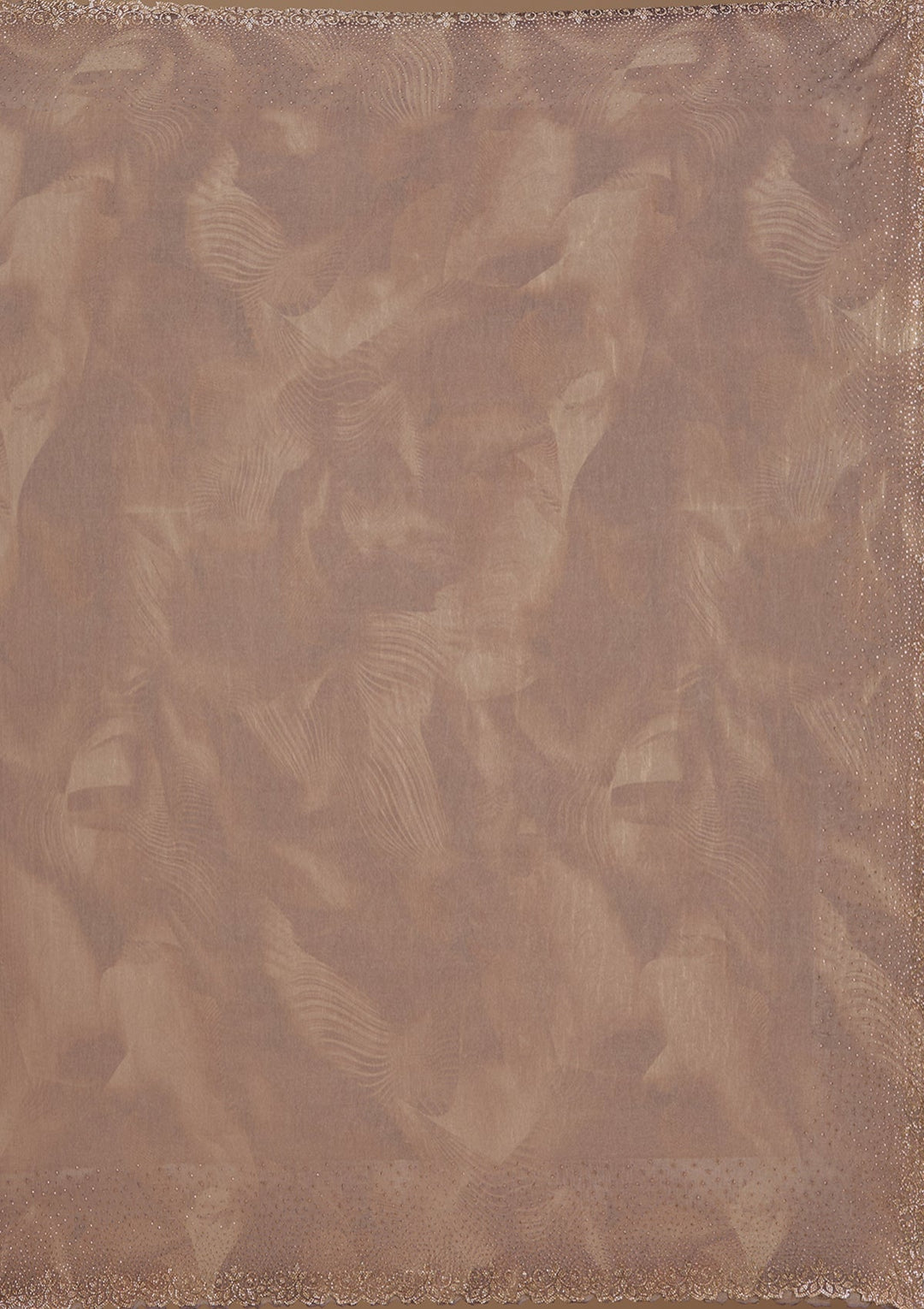 Brown Stonework (Gold) Tissue Saree