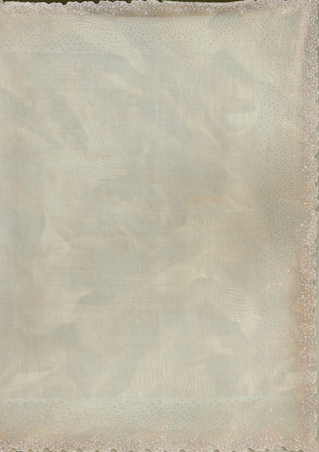 Off White Stonework (Gold) Tissue Saree