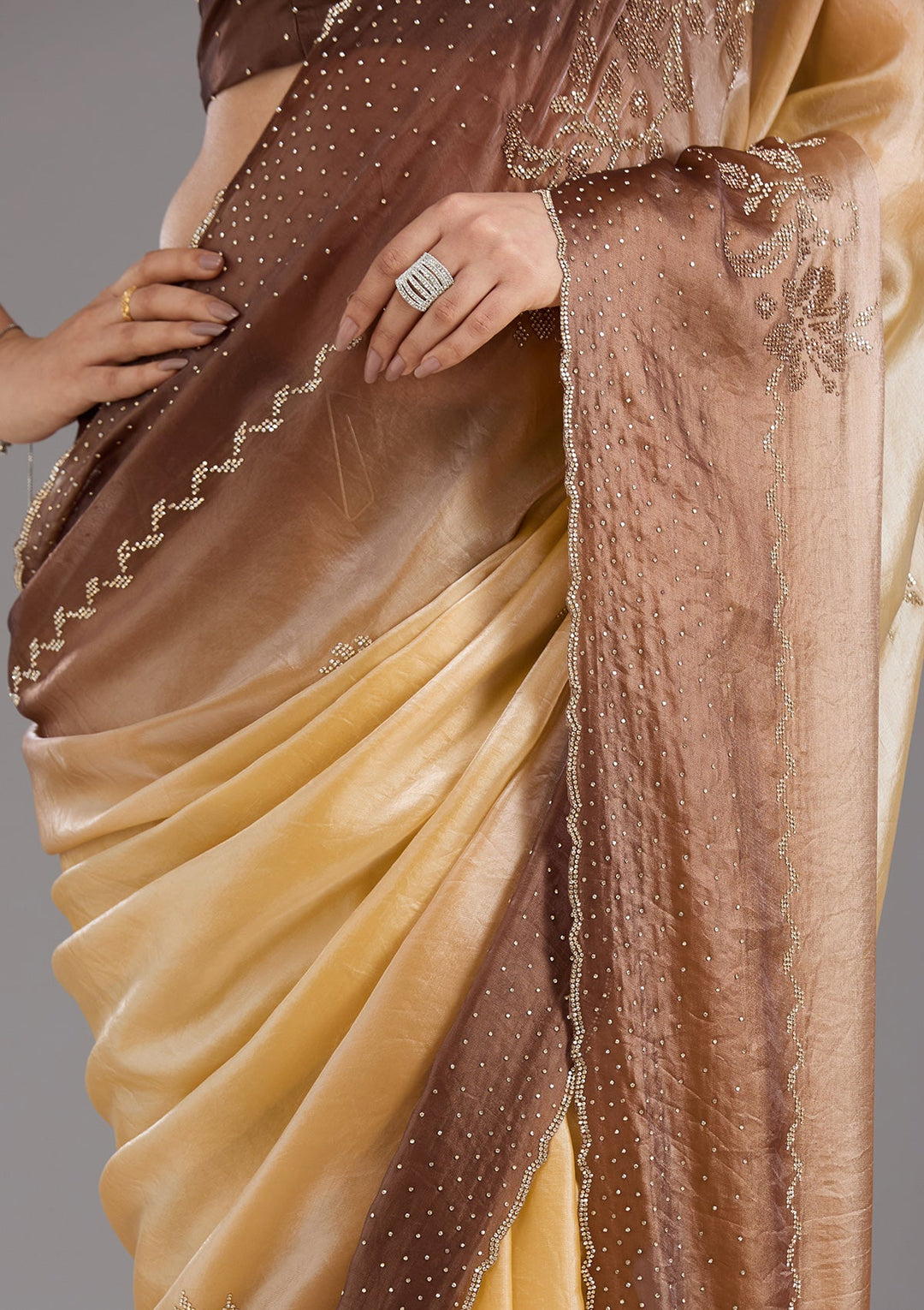 Beige Stonework (Gold) Tissue Saree_koskii