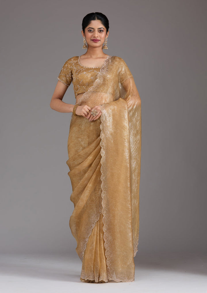 Gold Stonework (Gold) Tissue Saree_koskii