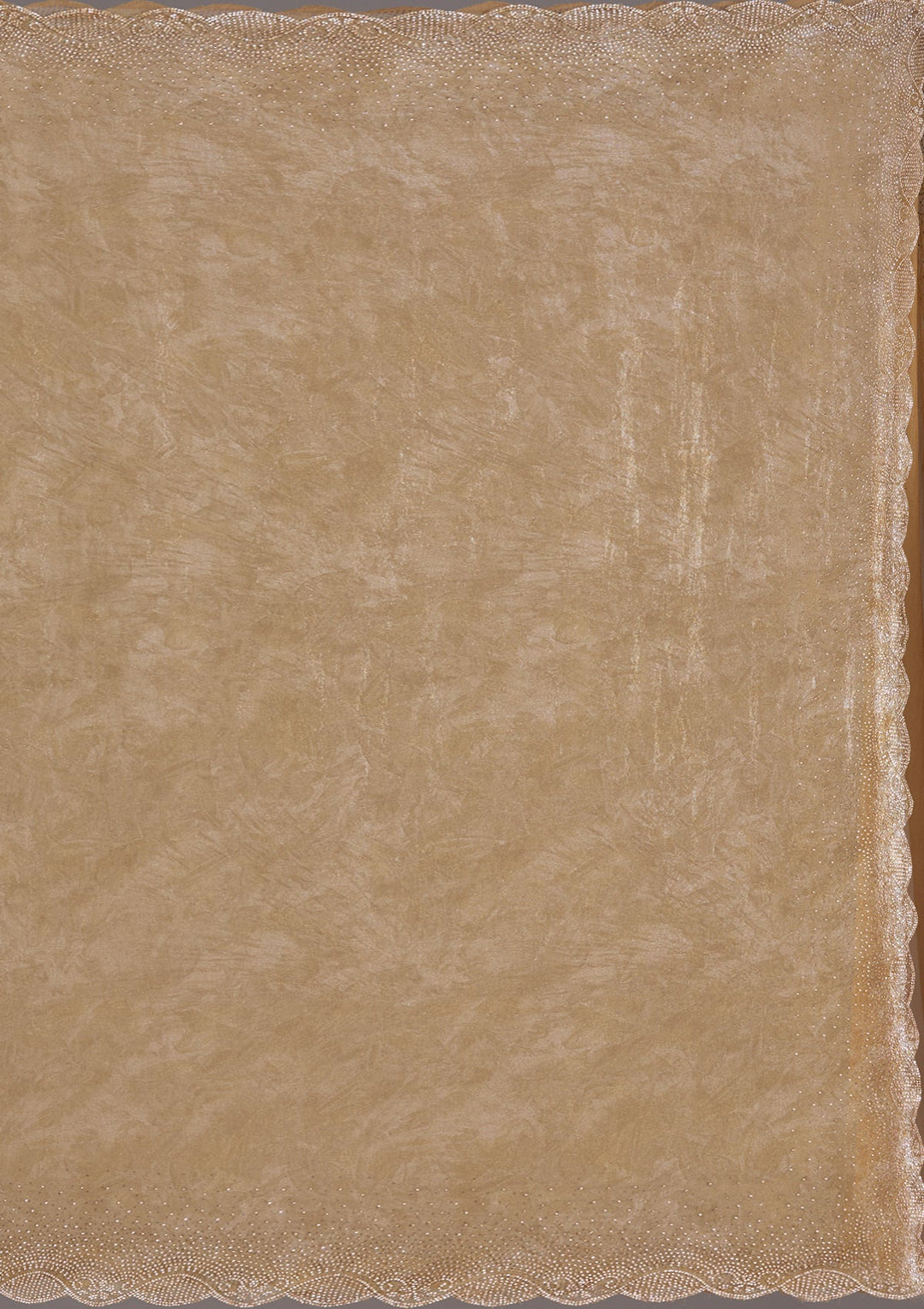 Gold Stonework (Gold) Tissue Saree_koskii