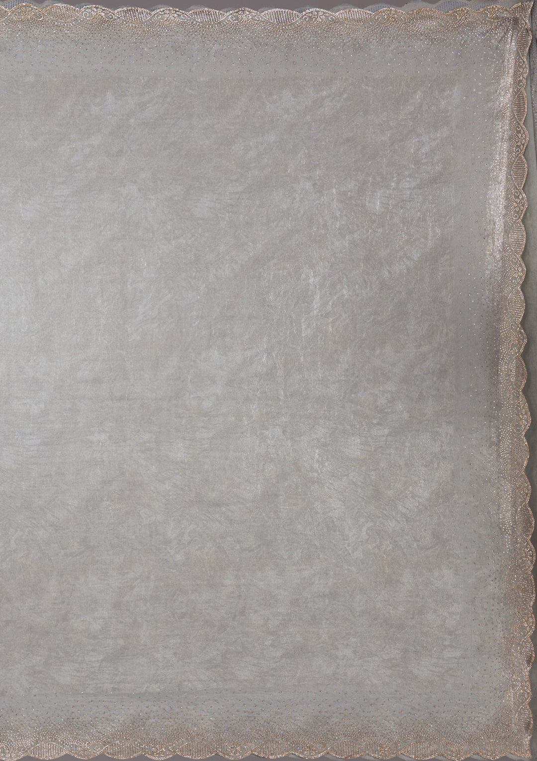 Grey Stonework (Gold) Tissue Saree_koskii