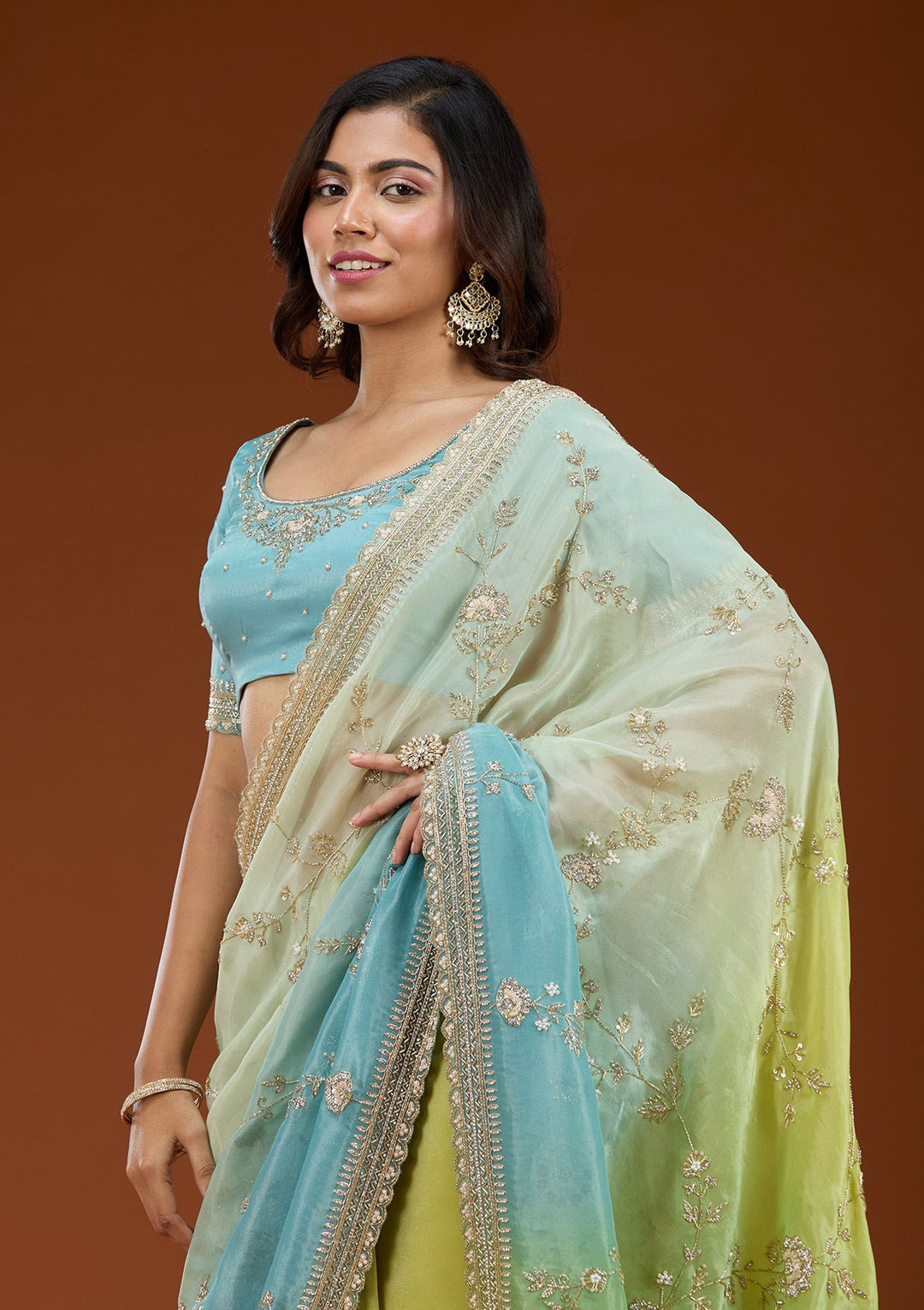 Pista Green Cutdana Tissue Saree_koskii