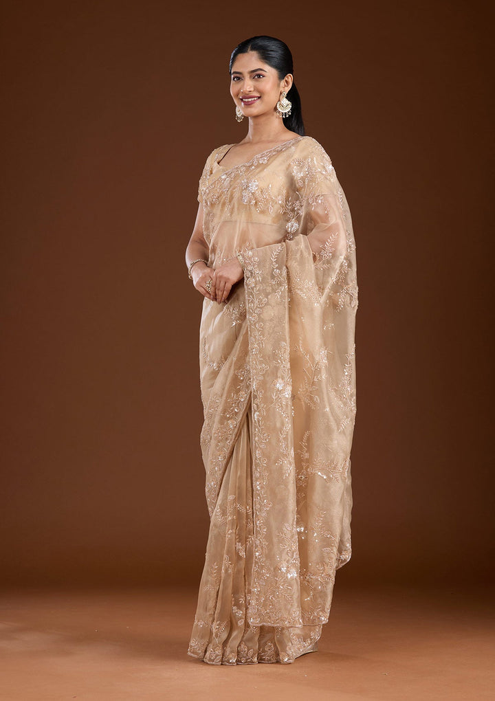 Beige Cutdana Organza Saree-koskii