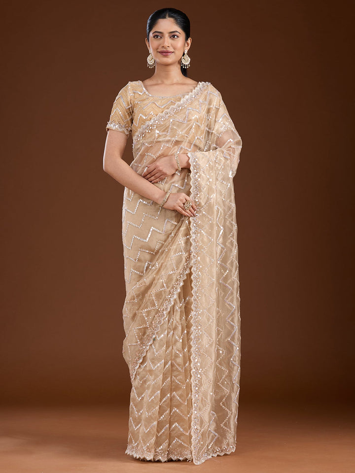 Beige Sequins Net Saree-Koskii