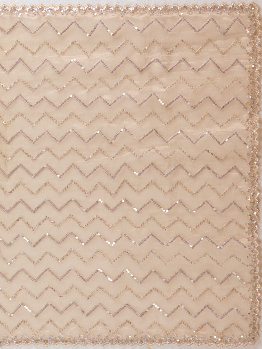 Beige Sequins Net Saree-Koskii