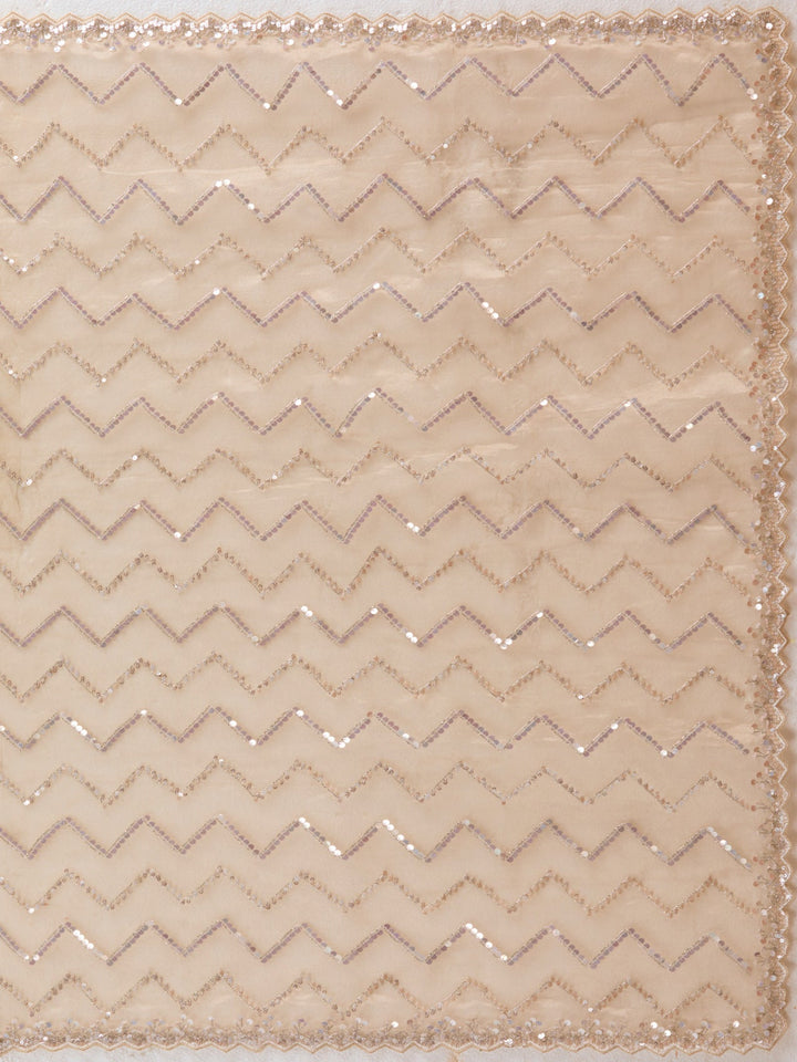 Beige Sequins Net Saree-Koskii