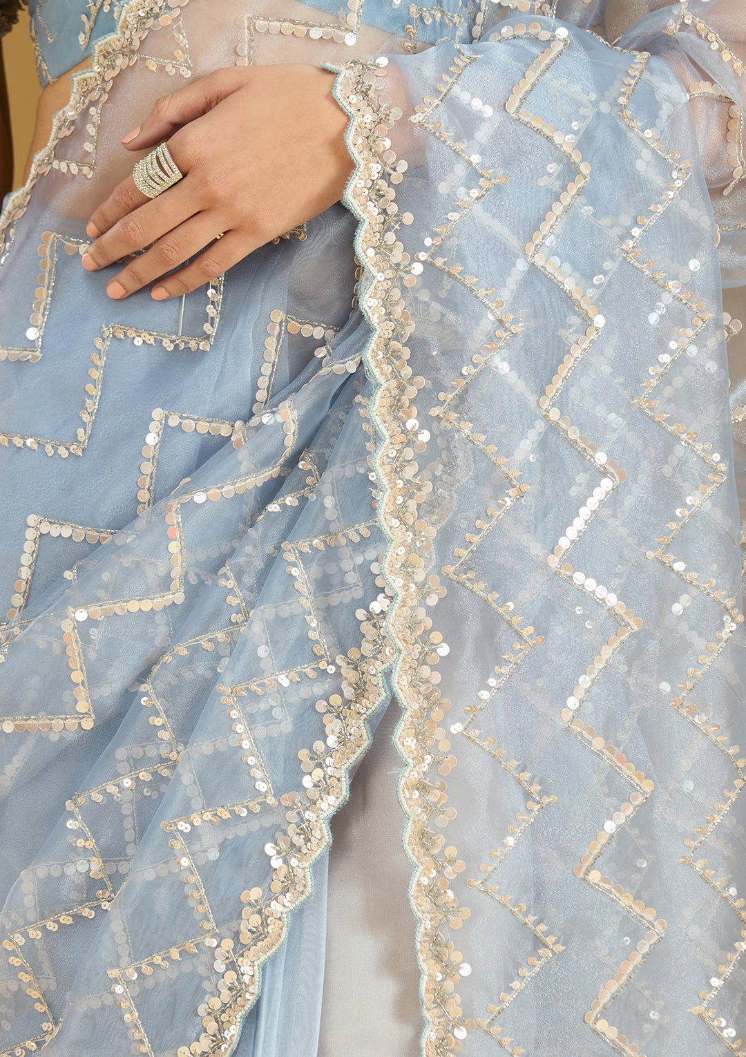 Light Grey Sequins Organza Saree