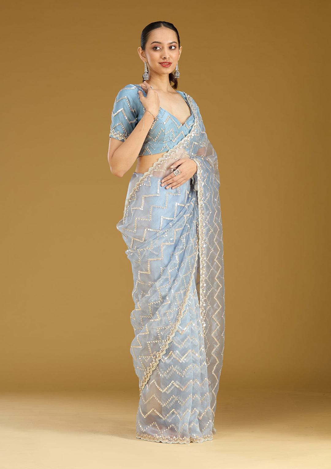 Light Grey Sequins Organza Saree
