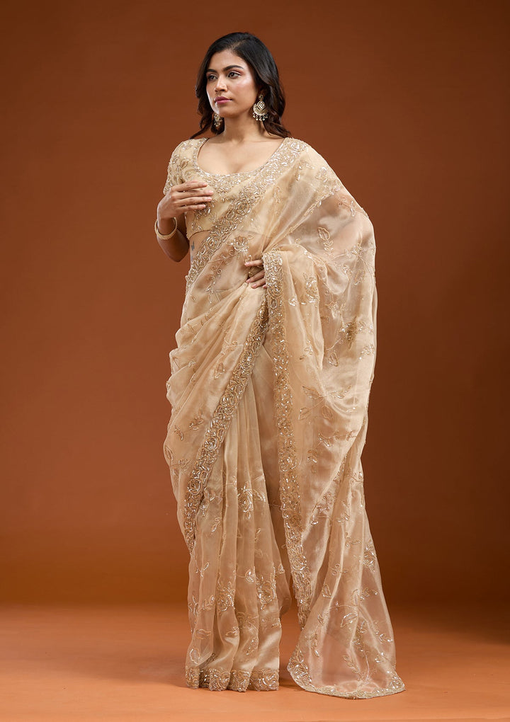Beige Aariwork Satin Saree-koskii