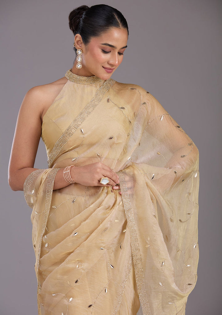 Beige Stonework (Gold) Tissue Saree