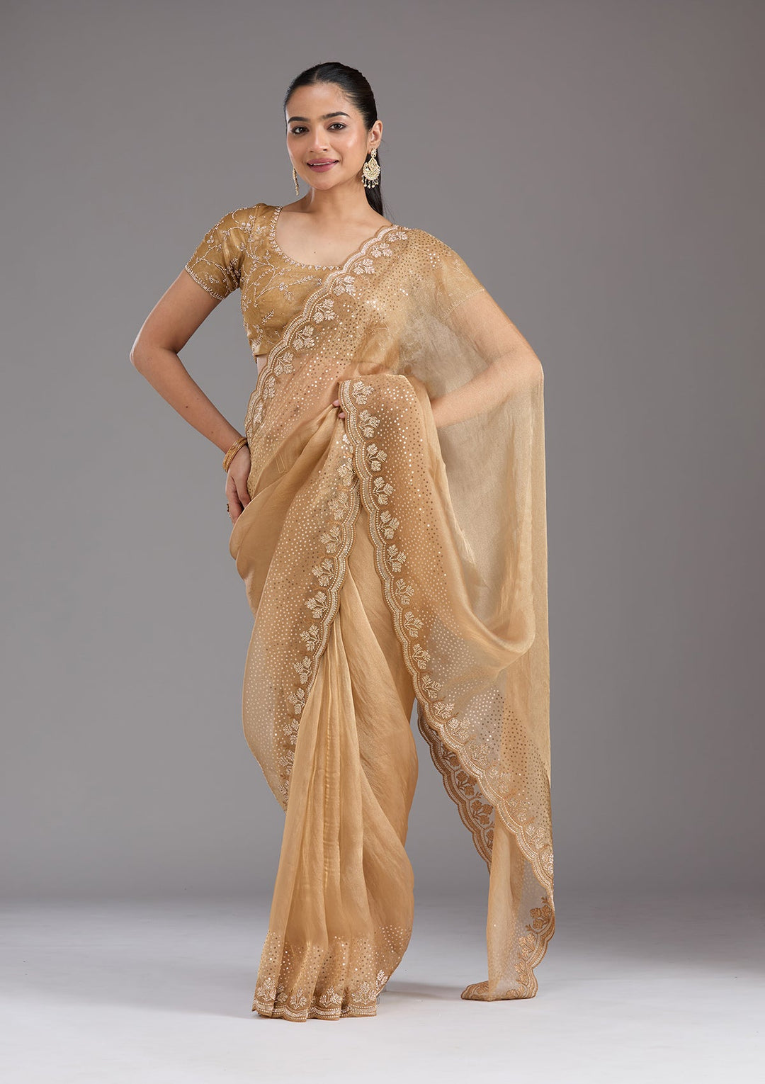 Gold Stonework Tissue Saree_koskii
